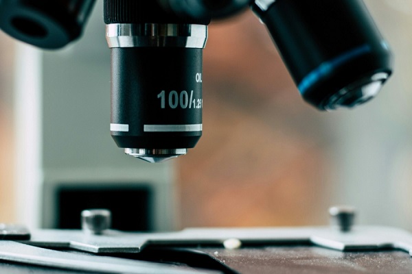 В Петербурге спасли потрескавшиеся и подгнившие чучела питомцев Петра Великого}