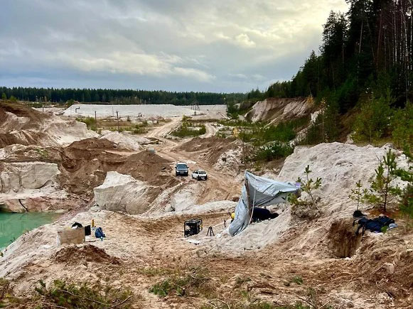 Раскопки на месте обнаружения объекта, похожего на один из древнейших пней на Земле