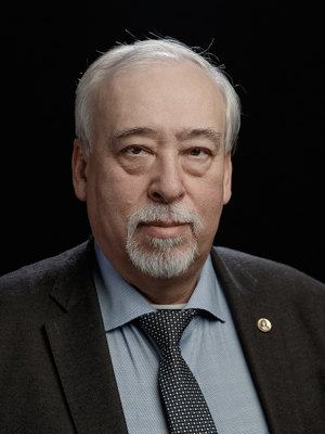 Сильников Михаил Владимирович
