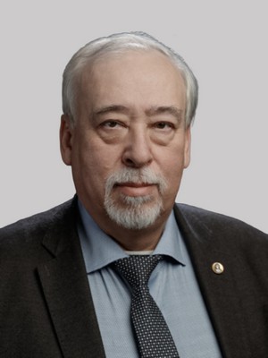 Сильников Михаил Владимирович